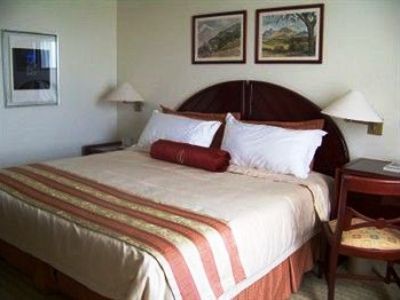 Venetur Orinoco Hotel Ciudad Guayana Kültér fotó